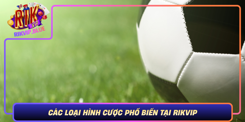 Cac Loai Hinh Cuoc Pho Bien Tai Rikvip