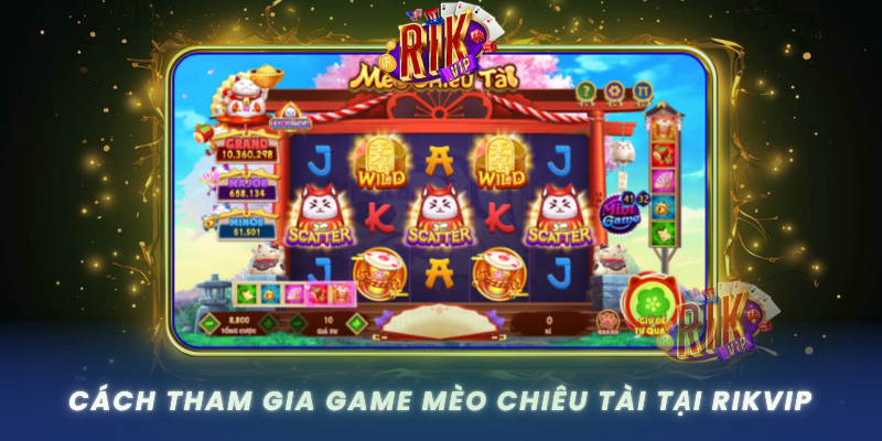 Cach Tham Gia Game Meo Chieu Tai Tai Rikvip