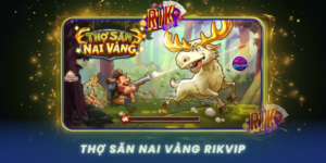 Tho San Nai Vang Trai Nghiem San Ban Dinh Cao Tai Rikvip